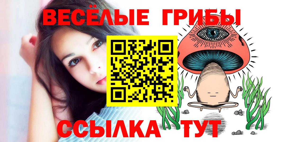 где купить наркотик  Вход с VPN  Улан-Удэ  Галлюциногенные грибы Magic Shrooms 