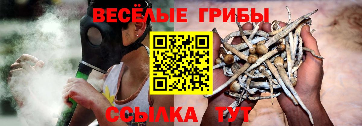 Галлюциногенные грибы Psilocybine cubensis Улан-Удэ